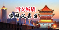 毛片竹夫人奶头大中国陕西-西安城墙旅游风景区